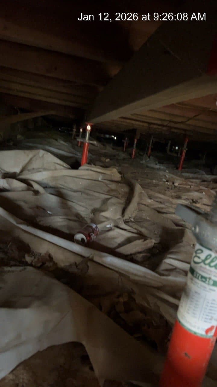 Complete Pier & Beam Leveling with Subfloor Replacement — After